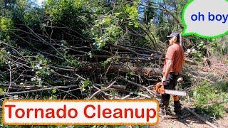 Cleaning up Tree Damage from Tornado | Cutting Trees Under Tension