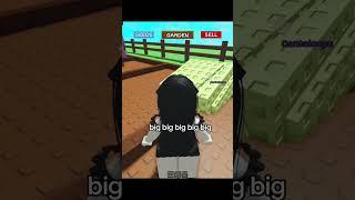 New Cantaloupe Seed From The Exotic Summer Seed Sack  | CTTRO  #growagarden #roblox