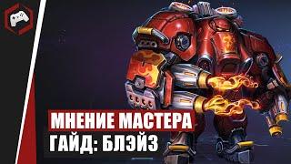 МНЕНИЕ МАСТЕРА #93: «Anfor» (Гайд - Блейз) | Heroes of the Storm