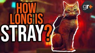 5 Things you Need to Know About Stray... | GamesRadar