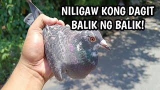 NILAGAW KONG DAGIT BALIK NG BALIK!