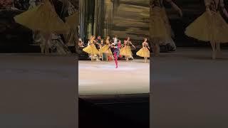 «Лебединое озеро» #ballet #bolshoiballet #dance #bolshoitheatre #dancer