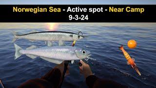 Russian Fishing 4, Norwegian Sea - Active spot - Near Camp  9-3-24