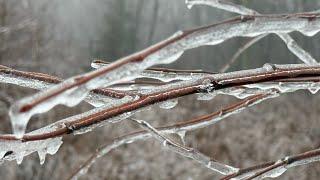  PA Ice Storm Coverage - Live Storm Chaser - Pennsylvania Storm Chasing IRL