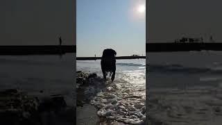 19 июня 2025 г.