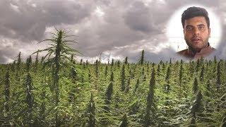 Career in Hemp Farming by Dilsher Singh Dhaliwal (Director in Everest Eco Hemp)