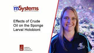 Effects of Crude Oil on the Sponge Larval Holobiont