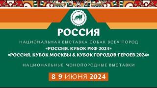  Видеоотчет о выставке «Россия 2024» 