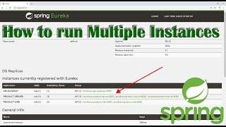 How to run multiple instances of the same application in Spring Boot(Microservices Tutorials)