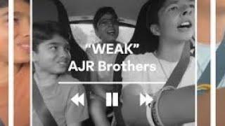 "Weak" by AJR Brothers | Dashcam Karaoke - Singalong with Swami 3