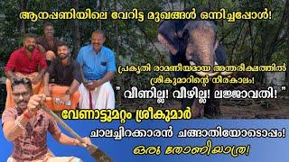 " വീണതല്ല സാഷ്ടാങ്കം പ്രണമിച്ചതാ..!! '' ലജ്ജവതി വീണ്ടും!  വേറിട്ട ആനക്കാര്യം!! MK Channel