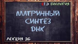 Л.26 | МАТРИЧНЫЙ СИНТЕЗ ДНК | ОБЩАЯ БИОЛОГИЯ ЕГЭ