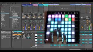 Как настроить launchpad mini mk3? Ableton. Live looping.