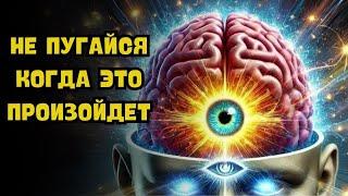 10 УДИВИТЕЛЬНЫХ ИЗМЕНЕНИЙ У ИЗБРАННЫХ 