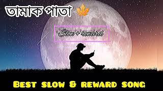 তামাক পাতা ।tamak pata, best slow & reward night mood lofi song  gogon sakib #bengalisong #sadsong