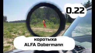 Легкими пульками в ветер. AlfaDobermann 260мм 5.5