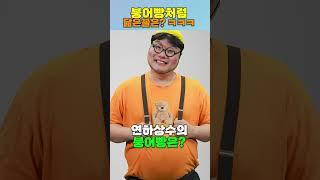 급식왕 멤버들 붕어빵처럼 닮은꼴은? 모두 찾으시오!ㅋㅋㅋㅋㅋ