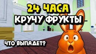 24 ЧАСА /  Кручу фрукты после обновы в Blox Fruits