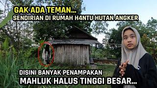 Misterius !! Ada Wanita Sendirian Di Rumah H4ntu Tengah Hutan Angker !! Gak Punya Tetangga Di Hutan