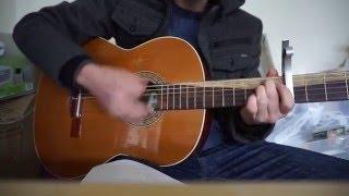 Speransky guitar V