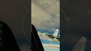 Su-27 Pulls Cobra After Being Intercepted