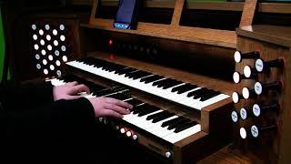 Ignite K 391 & Alan Walker organ cover   Jan Kowalik