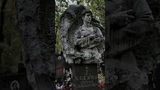 С.А. Есенин - Слезы.. (Leif) #shorts #стихи