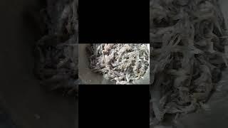 Small poa fish vuna ingredients |#shorts |Farida Akter Taslima |