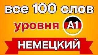 100 САМЫХ ВАЖНЫХ И ИСПОЛЬЗУЕМЫХ СЛОВ НА НЕМЕЦКОМ - ЧАСТЬ 1! Немецкий для начинающих