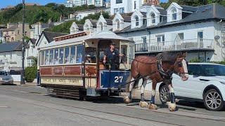 Douglas Bay Horse Tramway