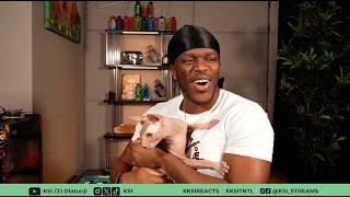 KSI’s CAT JOINS THE STREAM