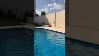 Simp Dance Video 246 #TikTok #Shorts