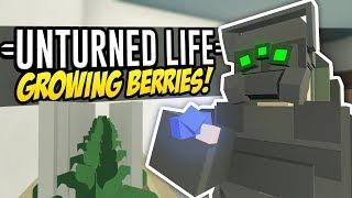 GROWING BERRIES - Unturned Life Roleplay #235