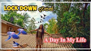 ගෙදරටම වෙලා |A Day In My Life Sinhala|Sinhala Vlogs