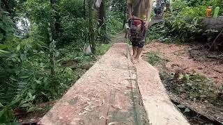Secret  way of Cutting woods by chainsaw