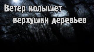 Страшные истории - Ветер колышет верхушки деревьев