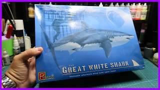 Pegasus Hobbies Great White Shark Model Kit Review 9501