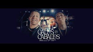 Grupo Maximo Grado x Natanael Cano - Gallos y Caballos (Video Oficial)