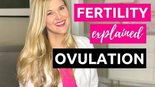 When are you Ovulating? A Fertility Doctor Explains Fertility Awareness Methods