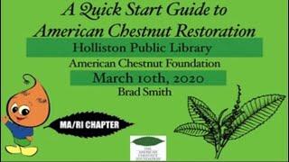 Saving the American Chestnut Tree