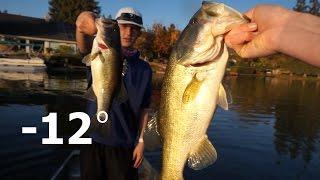 Winter Bass SMASH Crankbaits!?