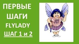 FlyLady Первые шаги в системе Шаг 1 и 2) Флайледи (Ирина Соковых)