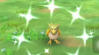 Shiny Spearow in Pokémon Go #pokemon #shorts #pokemongo #shinypokemon #shinyspearow