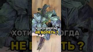 Напиток для повышения иммунитета с пользой для здоровья и организма.Не болей! Подойдет детям.