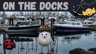 On the Docks / French Creek Marina / Dock BC
