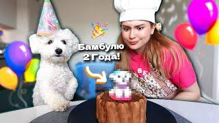 ПРИГОТОВИЛА ТОРТ для СОБАКИ *день рождения Бамбуля*