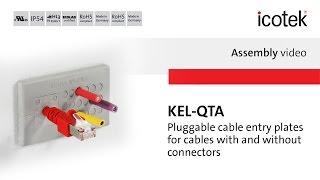 Tool-Free Cable Entry Plate KEL-QTA | Assembly | icotek