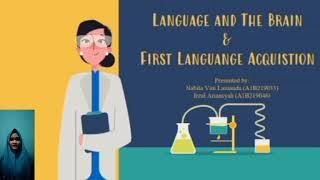 Language and The Brain & First Language Acquisition | Linguitic course