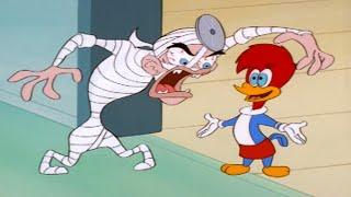 Winnie Goes to Medical School | 1 Hour of Woody Woodpecker Full Episodes