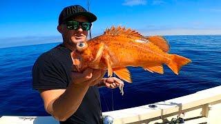 Fishing and Camping Catalina Island on Labor Day Weekend!